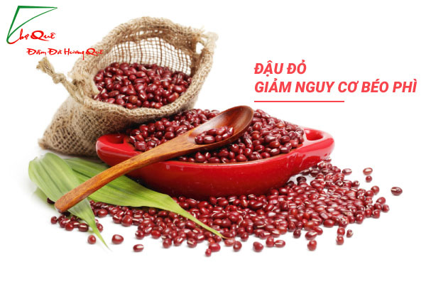  Đậu đỏ giảm nguy cơ béo phì